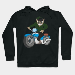 Сat on a motorcycle Hoodie